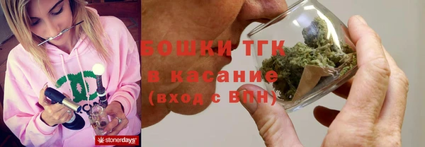 трава Арсеньев