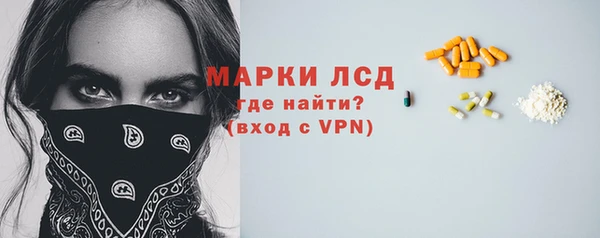 spice Аркадак