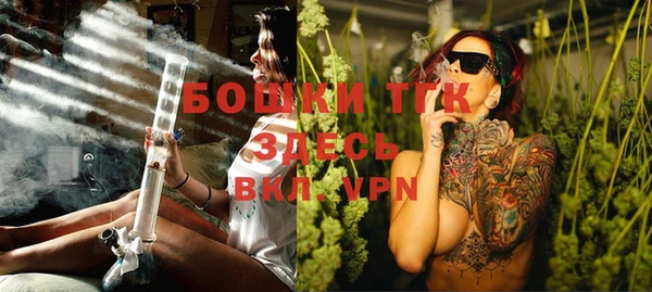 spice Аркадак