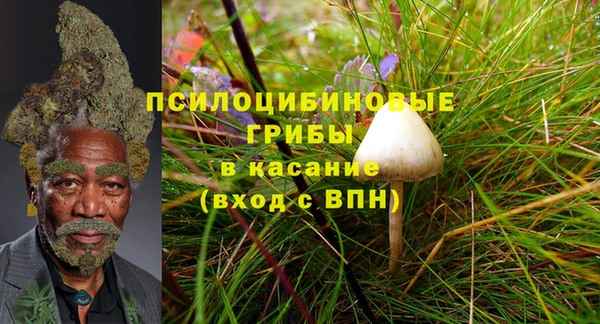 кокаин перу Гатчина