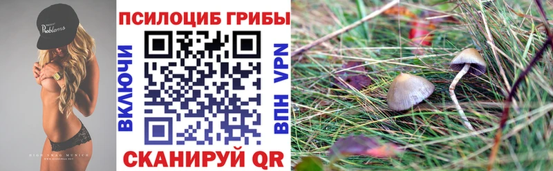 darknet как зайти  OMG   Лахденпохья  закладка  Псилоцибиновые грибы Psilocybe 